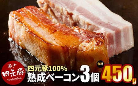 四元豚 熟成 ベーコンブロック 150g ×3個セット (合計 450g ) GIFTON 豚肉 ベーコン 厚切り BBQ 焼き肉 ギフト お歳暮 お中元 プレゼント 贈答 おつまみ 晩酌 お弁当 冷凍 オリジナルボックス 包装 のし [ 岩手県 北上市 ごえん株式会社 D0461 ]