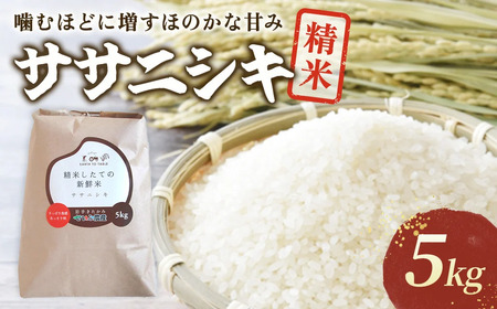 [ 令和7年産 新米 ]10月下旬発送開始予定 『 ササニシキ 』 5kg [農薬節約栽培] 北上産 せいぶ農産 米 岩手県 北上市 D0552 西部開発農産 国産 お米 こめ ご飯 ささにしき 精米 新米