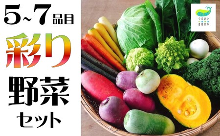 農園自慢 彩り野菜セット( 5品 以上〜)旬 野菜 詰め合わせ シェフ御用達 国産 岩手 旬 季節の 西洋 紫人参 黄色人参 丸なす 水なす 小なす 長なす とうがらし 伏見とうがらし カラフル お試し 少量 一人暮らし 直送 送料無料 うるおい春夏秋冬 岩手県 北上市