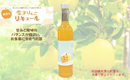 [ 数量限定 ] 雪っ子 りんご リキュール 500ml 1本 岩手県 北上市 C0500 展勝地レストハウス 展勝地 国産 雪っこりんご 林檎 リンゴ お酒 リキュール アルコール 果汁