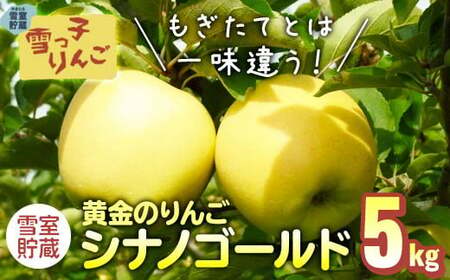 [数量限定 2025年 4月発送 予約受付] 雪っ子 りんご シナノゴールド 5kg 岩手県 北上市 D0208 展勝地レストハウス 国産 リンゴ 林檎 果物 フルーツ 果実 贈答用りんご 雪室貯蔵 雪室りんご 東北