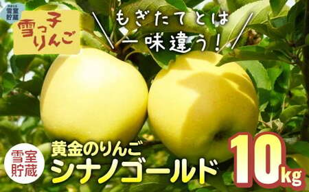 [数量限定 2025年 4月発送 予約受付 ] 雪っ子 りんご 熟成 シナノゴールド 10kg 岩手県 北上市 F0054 展勝地レストハウス 数量限定 リンゴ 林檎 果物 フルーツ 果実 贈答用リンゴ 雪室貯蔵 雪室リンゴ