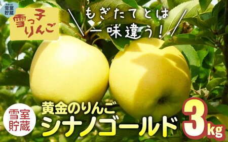 [数量限定 2025年 4月発送 予約受付 ] 雪っ子 りんご 熟成 シナノゴールド 3kg 岩手県 北上市 C0250 展勝地レストハウス 国産 リンゴ 林檎 果物 フルーツ 果実 贈答用りんご 雪室貯蔵 雪室りんご 東北