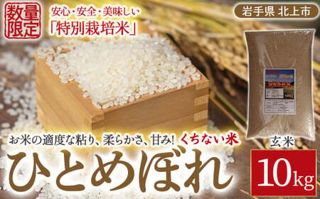 予約受付[ 令和8年産 10月下旬発送開始予定 ]北上産 くちない米( 特別栽培米 ひとめぼれ 玄米 )10kg 岩手県 北上市 F0143 国産 東北 岩手 米 お米 ご飯 こめ 10キロ 2025年 R7年 産直 あぐり夢くちない