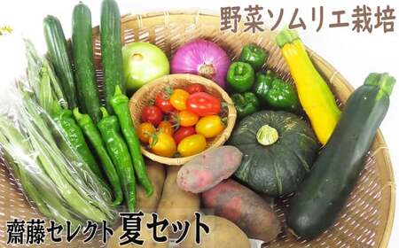 [2025年7月〜発送]野菜ソムリエ 齋藤セレクト「新」夏 野菜 7種 以上 セット 国産 岩手 旬 野菜セット 詰め合わせ 岩手県 北上市 B0317 齋藤 智仁 きゅうり ミニトマト たまねぎ にんじん ナス ピーマン ジャンボシシトウ パプリカ インゲン キャベツ ズッキーニ とうがらし 絹さや えだまめ とうもろこし