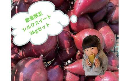 [ 予約受付 2025年産 ] 厳選 さつまいも シルクスイート 3kg 国産 サツマイモ さつま芋 秋 野菜 岩手県 北上市 齋藤 智仁 B0400 さいとう農園 産地直送 ※令和7年9月下旬より発送開始予定