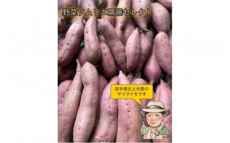 [予約受付 2025年産 ] 野菜ソムリエ 齋藤セレクト「新」秋セット さつまいも 2種 (約 5kg ) セット 国産 岩手 サツマイモ 芋 野菜 シルクスイート 紫さつまいも パープルスイート ハロウィンスイート 紅あずま 紅はるか 安納芋 鳴門金時等 岩手県 北上市 C0308 齋藤 智仁 ※令和7年10月中旬発送開始予定