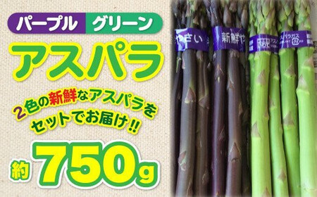 北上産 アスパラ [予約受付 2026年産]5月上旬〜発送開始予定 パープルアスパラ・グリーンアスパラ 計約 750g アスパラ 2色 セット 紫 緑 野菜 国産 岩手 北上 フルーツきやなぎ 岩手県 北上市