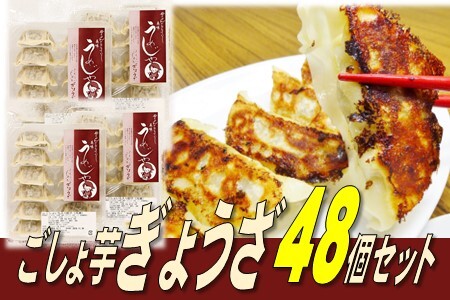 ごしょ芋 ぎょうざ 4パックセット(48個)ごしょ芋 菊芋 ギョウザ 餃子 4パック 冷凍 NPOくちない 特定非営利活動法人くちない 岩手県 北上市