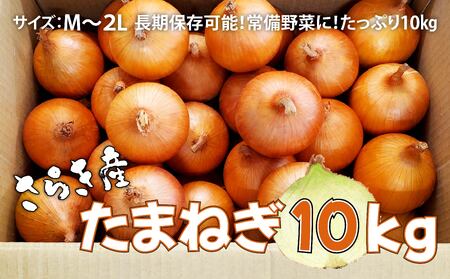 予約受付 たまねぎ 10kg さらき産[2025年7月発送開始] 岩手県 北上市 C0447 令和7年産 国産 玉ねぎ 玉葱 カレー シチュー 新鮮 フレッシュ オニオン サラダ BBQ 焼肉 野菜 Mサイズ Ⅼサイズ 2Ⅼ 株式会社さらき