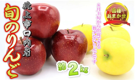 予約受付 8月上旬〜発送予定 [ 品種おまかせ ]りんご 約 2kg セット 北上市/口内産 りんご 果物 フルーツ おやつ お土産 お歳暮 お中元 お祝い 子供 ファミリー 家庭 金成園 岩手県 北上市
