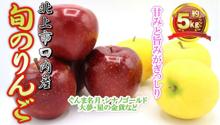 予約受付 10月上旬〜発送予定 完熟りんご(セット) 約5kg サンふじ & 旬の りんごセット(ぐんま名月 シナノゴールド 大夢 星の金貨 など)完熟 金成園 たっぷり 岩手県 北上市