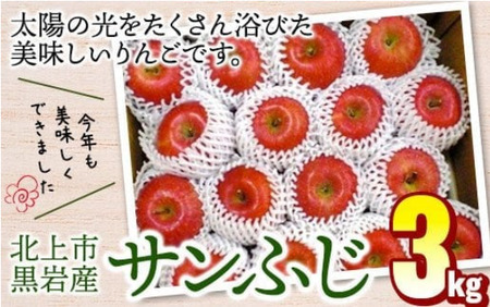 りんご サンふじ 約3kg 林檎 11月下旬 から発送開始 フジ さんふじ 贈答 お歳暮 ギフト 冬の贈り物 プレゼント 厳選 甘い 冬 果物 フルーツ おやつ 家庭 贈答 のし 季節 リンゴ 林檎 くろいわ産直 岩手県 北上市 D0542 国産 フルーツ アップル