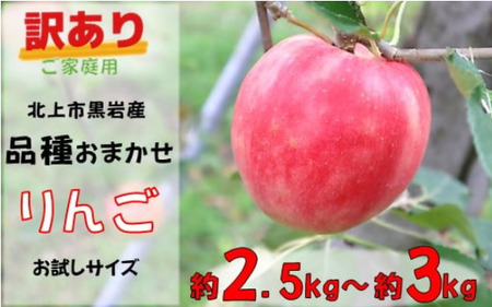 訳あり りんご 約 2.5kg 〜約 3kg ( 品種おまかせ )季節のりんご 旬の リンゴ お試し 家庭用 品種 おまかせ サンフジ ジョナゴールド 早生ふじ シナノゴールド 黒岩産直 岩手県 北上市 C0605 国産 フルーツ 林檎 アップル 詰合せ セット