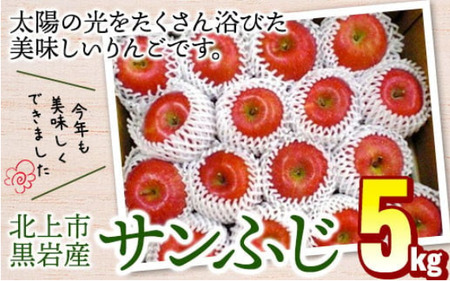 񂲁i Tӂ j5kg 12蔭Jn 낢Y tW ӂ  Ε Mtg ~̑蕨 v[g I Â ʏ`Ղ S ь 茧 ks E0310 Y ʕ t