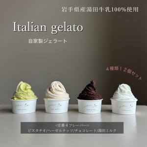 イタリアンジェラート12個セット アイス アイスクリーム イタリアン ジェラート ミルク チョコレート ピスタチオ ヘーゼルナッツ 詰め合わせ 岩手県 北上市 E0314 ジェラテリア イト スイーツ おしゃれ 湯田牛乳使用