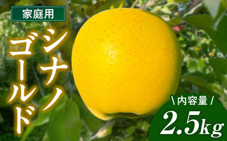 ＼ 予約受付 26年10月下旬から発送開始予定 /[北上市産]シナノゴールド [家庭用] りんご 2.5kg 国産 東北 岩手 林檎 リンゴ 訳あり 果物 フルーツ しなの ゴールド 産地直送 送料無料 旬 秋 冬 金鈴園 岩手県 北上市