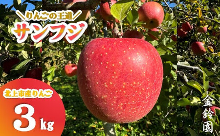 ＼ 予約受付 11月下旬発送予定 ／ 【 北上市産 りんご 】サンフジ 【厳選玉】 3キロ (約8～12玉) 贈答用 林檎 リンゴ サンふじ 3kg 国産 東北 岩手 産地直送 フルーツ 果物 岩手県 北上市 C0172 金鈴園 お土産 お取り寄せ グルメ 贈り物