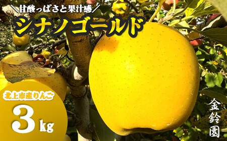 [ 北上市産 りんご ] ＼ 予約受付 10月下旬 発送開始予定 /シナノゴールド [ 贈答用 ] 3キロ セット (約8〜12玉) 国産 リンゴ りんご 3kg 果物 フルーツ 産地直送 送料無料 新鮮 岩手県 北上市