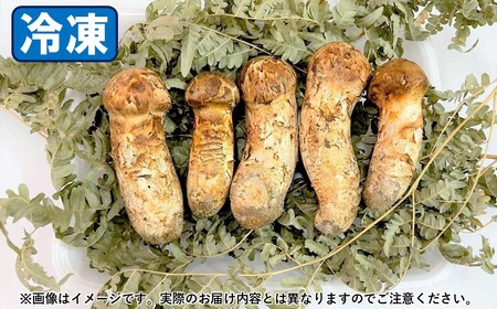 久慈産【冷凍】天然松茸「訳あり規格外品」300g