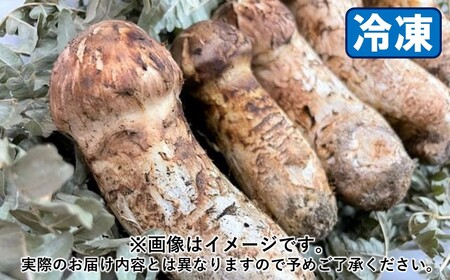 ふるさと納税「松茸」の人気返礼品・お礼品比較 - 価格.com