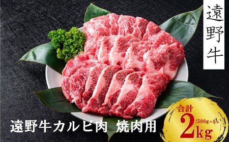 y싍zјa Jr ēp 2kg Ė苍q   Mtg  O a uh Y  蕨 i j  Y 茧 s 