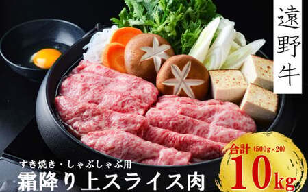 y싍zјa ~  XCX  Ă Ԃ p 10kg Ė苍q   Mtg  O a uh Y  蕨 i j  