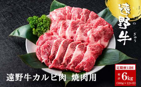 y12z싍 Jr ēp 500g yĖNqz јa    a uh Y 12  Y 茧 s 