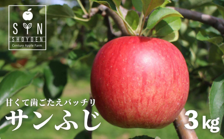 [ 令和7年産 先行予約 ][ご贈答にも] 松陽園 樹上完熟 りんご サンふじ 3kg 岩手県遠野市 [2025年11月中旬ごろから発送予定] 農家直送