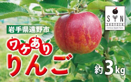 訳あり りんご(約3kg) / 岩手県 遠野市 産 松陽園 [ 先行予約 2025年11月中旬より発送 ]