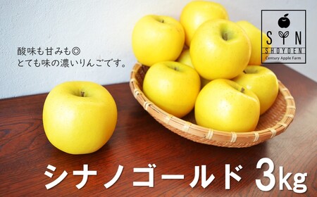 りんご シナノゴールド 3kg 松陽園 樹上 完熟 岩手県 遠野市 農家直送 [令和7年産 先行予約 2025年11月以降より発送予定 ]