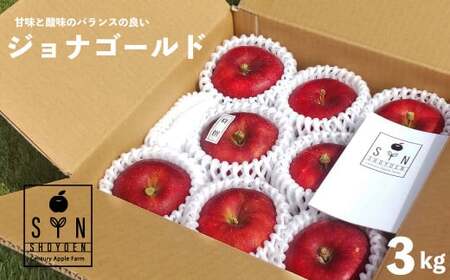 [先行予約]松陽園 樹上完熟 りんご ジョナゴールド 3kg[2026年10月中旬頃から順次発送] 農家直送