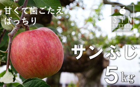 [ 令和7年産 先行予約 ] 松陽園 樹上完熟 りんご サンふじ 5kg 岩手県 遠野市 [2025年11月中旬ごろから発送予定] 農家直送
