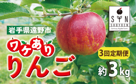 訳あり りんご 定期便 3回(約3kg) / 岩手県 遠野市 産 松陽園 10-12月 発送 9月30日受付終了