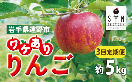 󂠂   3i5kgj / 茧 s Y z 10-12  930tI