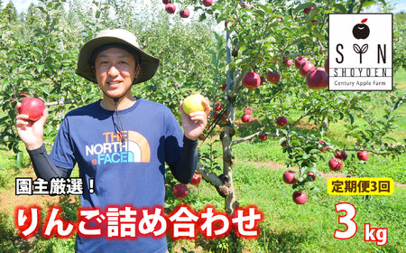[先行予約 定期便 ]園主 厳選 りんご 詰め合わせ 3kg 定期便 3回 松陽園 / 岩手県 遠野市 産 2025年10-12月 発送 9月30日受付終了