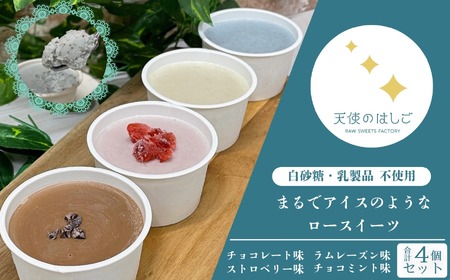 まるでアイスのようなロースイーツ 4種セット チョコレート ラムレーズン チョコミント ストロベリー ロースイーツ 冷凍 アイスクリーム 記念日 お祝い クリスマス ナチュラル ヘルシー ヴィーガン スイーツ ベジタリアン 有機 [天使のはしご] / 岩手県 遠野市