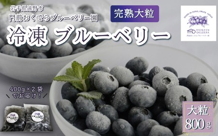 冷凍 ブルーベリー 大粒 合計 800g(400gパック2個入り) 門前おくでらブルーベリー園 岩手県 遠野市 産 お取り寄せ 産地直送 2025年産 おやつ デザート