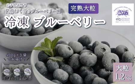 �Ⓚ �u���[�x���[ �嗱 1.2kg �i400���p�b�N3����j ��O�����ł�u���[�x���[�� ��茧 ����s �Y ������ �Y�n���� 2025�N�Y