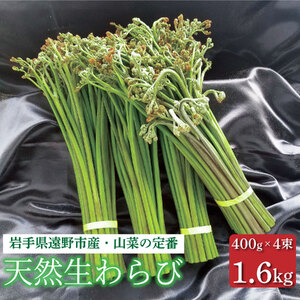 生わらび 1.6kg 400g×4束 天然 岩手県 遠野市 産 ワラビ 山菜 田村りんご店 期間限定 数量限定 [ 先行予約 2026年5月上旬発送]