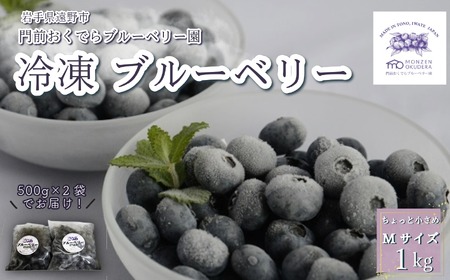 冷凍 ブルーベリー ちょっと小さめ Mサイズ 1kg (500gパック2個入り) 門前おくでらブルーベリー園 岩手県 遠野市 産 お取り寄せ 産地直送 2025年産 冷凍ブルーベリー