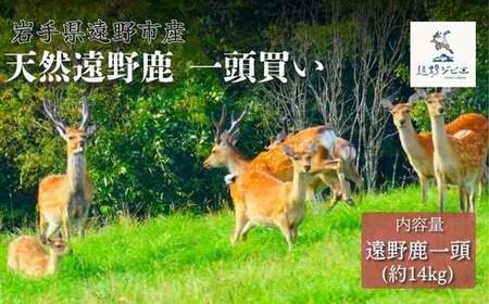 遠野鹿 1頭買い ・ 14kg [遠野ジビエ] / ジビエ 鹿肉 岩手県 遠野市 産 遠野ジビエの里 毘沙門商会合同会社