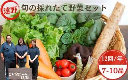 [ 12回 定期便 ] 旬 採れたて 野菜 詰め合わせ セット (7〜10品)レギュラーサイズ[ こんたでぃーの遠野 ] 岩手県 遠野市