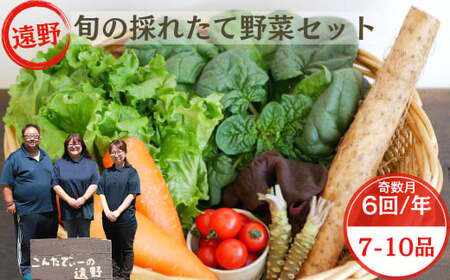 [ 奇数月 6回 定期便 ] 旬 採れたて 野菜 詰め合わせ セット (7〜10品)レギュラーサイズ[ こんたでぃーの遠野 ] 岩手県 遠野市