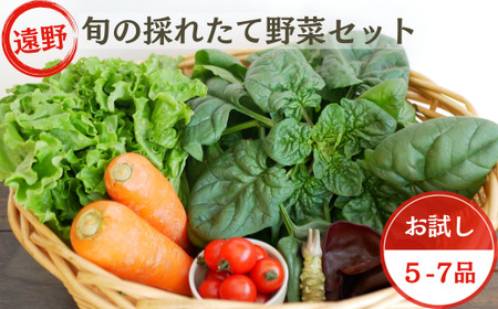 旬の採れたて 野菜 の詰め合わせ セット (5〜7品)ライトサイズ[こんたでぃーの遠野] 岩手県 遠野市
