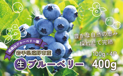 ブルーベリー 生 400g 100g×4パック 岩手県 遠野市 遠野食工房蔵 / 栽培期間中 農薬不使用 無農薬 除草剤 不使用 砥森山ブルーベリー園 完熟 生ブルーベリー [ 先行予約 2026年7月上旬頃発送予定]
