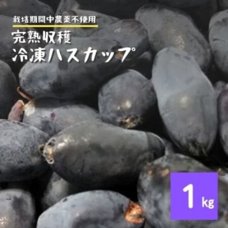 冷凍 ハスカップ 1kg 栽培期間中 農薬不使用 農家 直送 遠野もぐもぐカントリー【配送不可地域：離島】【1634840】