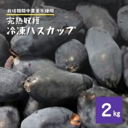 冷凍 ハスカップ 2kg 栽培期間中 農薬不使用 農家 直送 遠野もぐもぐカントリー【配送不可地域：離島】【1634856】