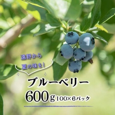 ブルーベリー 生 大粒 完熟 600g 化粧箱入 岩手県 遠野市 門前おくでらブルーベリー園【配送不可地域：離島・沖縄県・九州】【1745772】