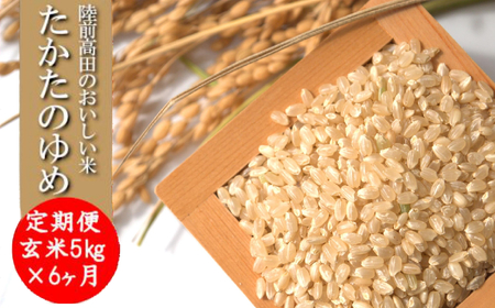 y6ցz ߘa7NY  5kg×6͂ i ̂ Ocs IWi uh ߂Ă